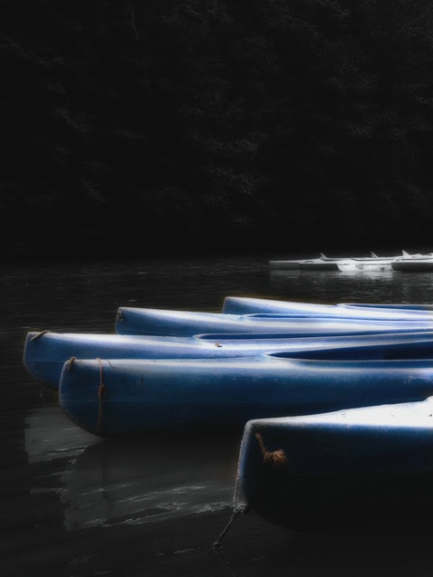 Blue Kayaks