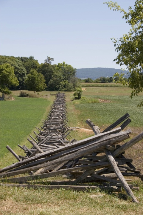 Antietam Wheat Field