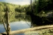 Algonquin Lake