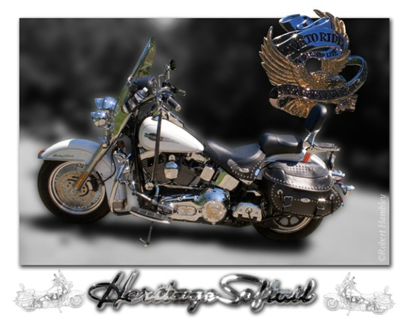 Harley Davidson Heritage Softtail 4 - ID: 2575749 © Robert Hambley