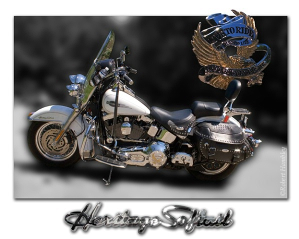 Harley Davidson Heritage Softtail 1 - ID: 2575754 © Robert Hambley
