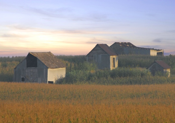 Old Nebraska Farm