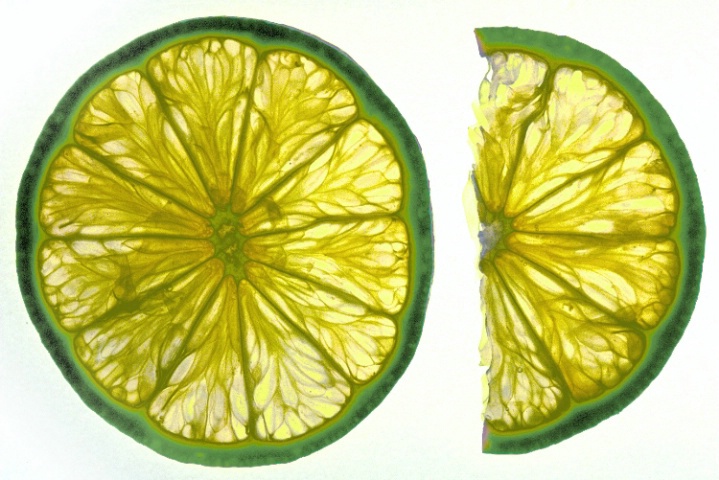 Lime and a Half
