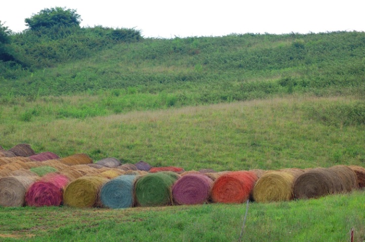 Rainbow Bales