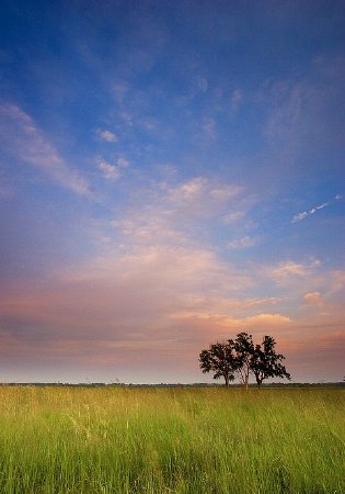 Open Skies