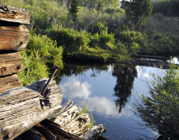 Mountain Pond