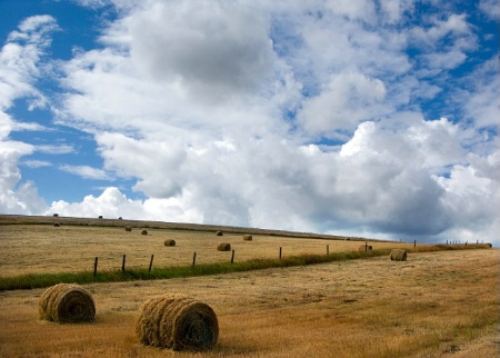 Round Bales on a Hillside