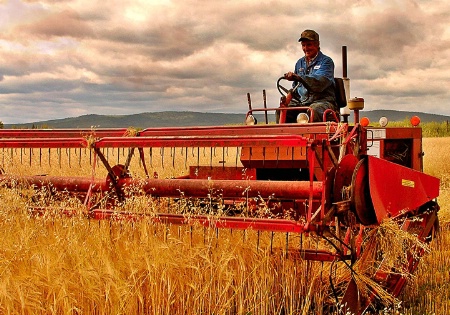 Swathing 