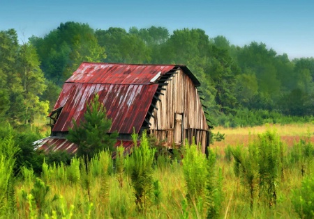 Old Country Barn