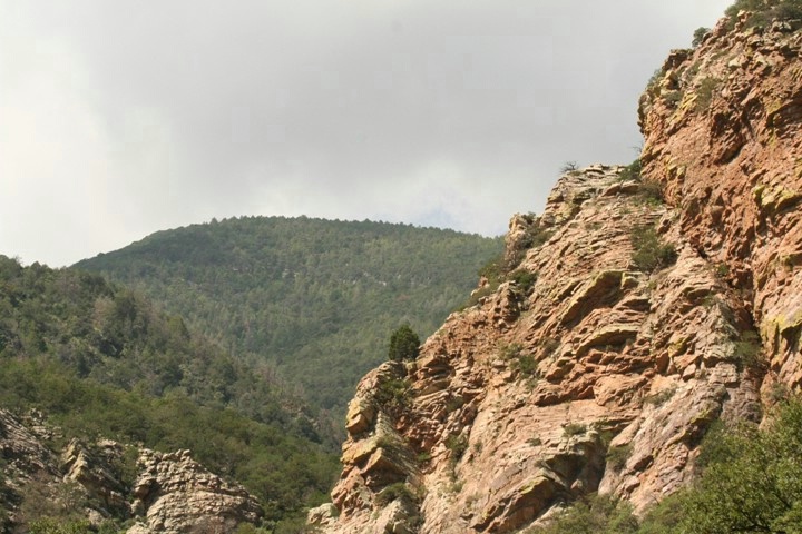 Upper Ramsey Canyon