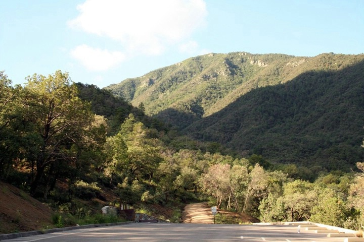 Upper Madera Canyon