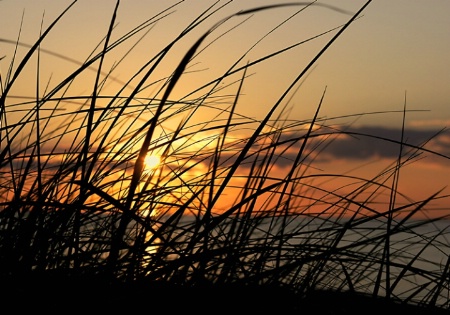 Cape Cod Sunset