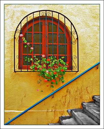 Red Window