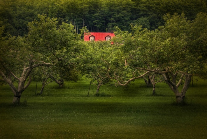 Little red roof