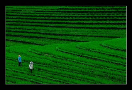 The story of Two Farmers