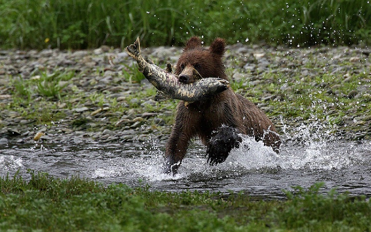 Sushi Lunch - ID: 2636333 © Sara And Dick