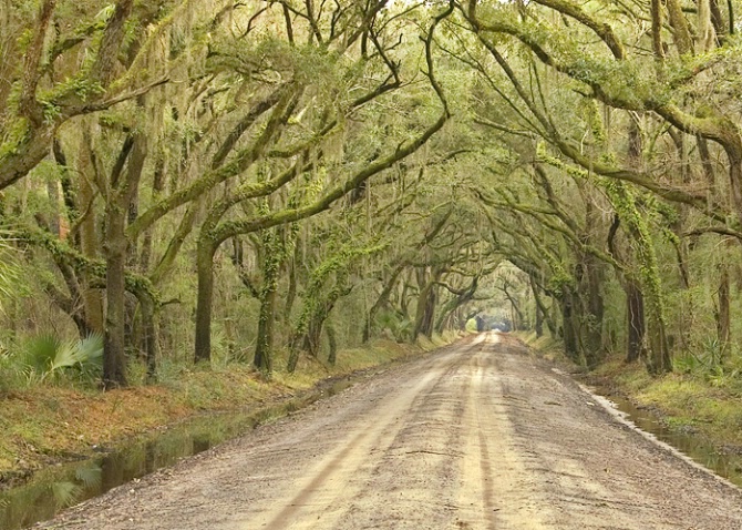 Botany Bay Road, Edisto Island