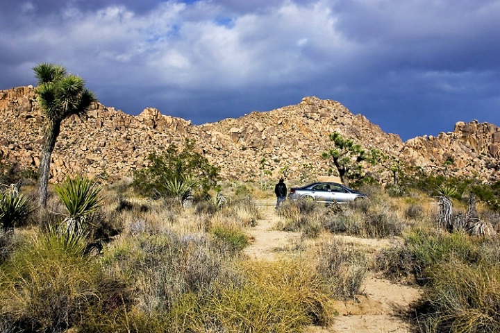 Joshua Tree National Park