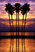 Sunset Six