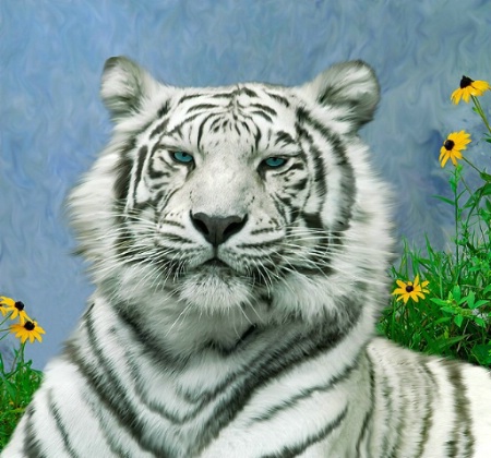 AN-1006, White tiger