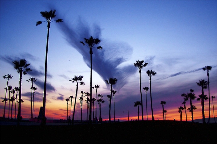 Sunset in Venice Beach