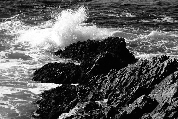 Seascape, Montana De Oro