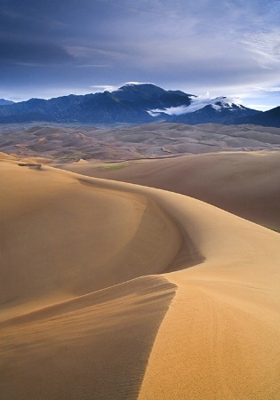 Sun Kissed Dune