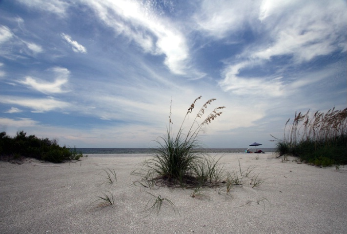 Sea Oats