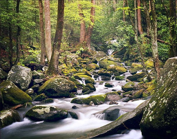 Smoky Mountain Stream - ID: 2678738 © Brian d. Reed