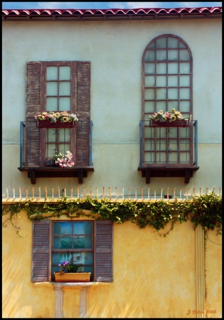 Pacific Avenue Windows