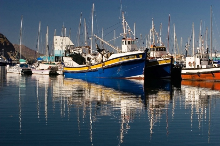 Fishing Boats at Hout Bay