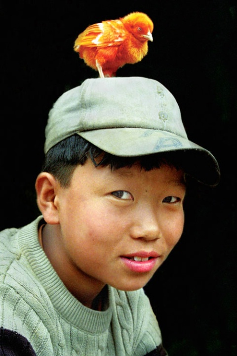 boy with chick