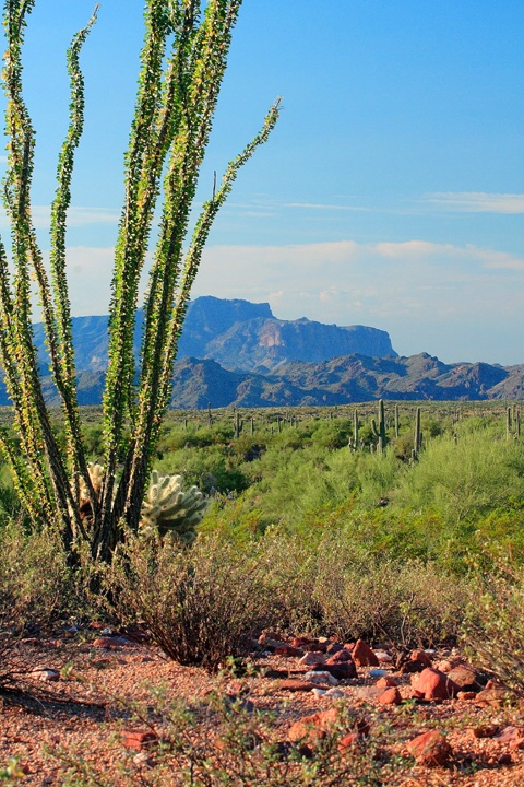 Superstition Vista