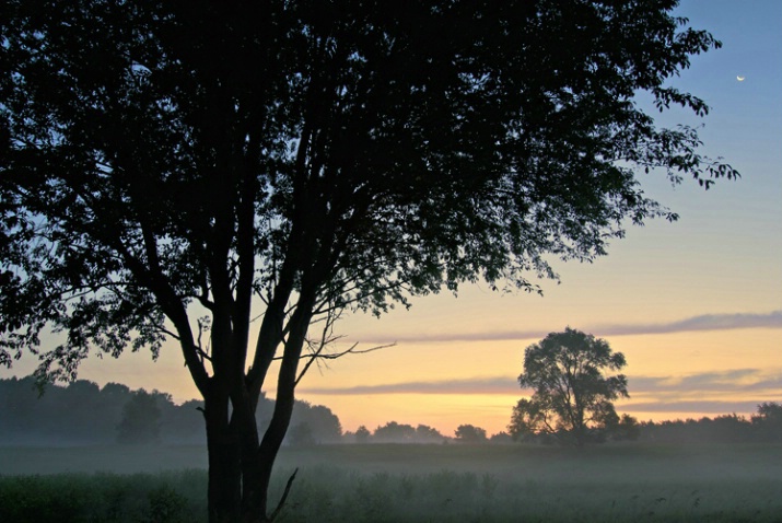 Al Sabo Meadow Sunrise