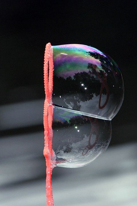 Life in a Bubble