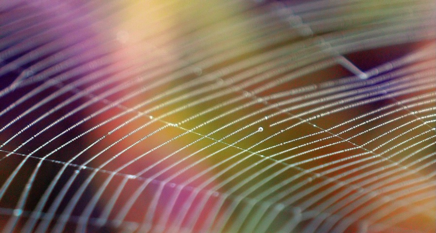 Web and Colors
