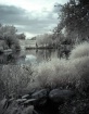 A Solitary Aftern...