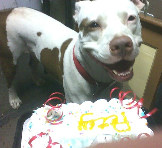 Petey's 4th Birthday