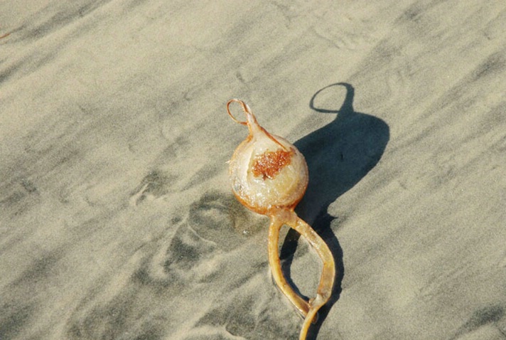 On the Beach