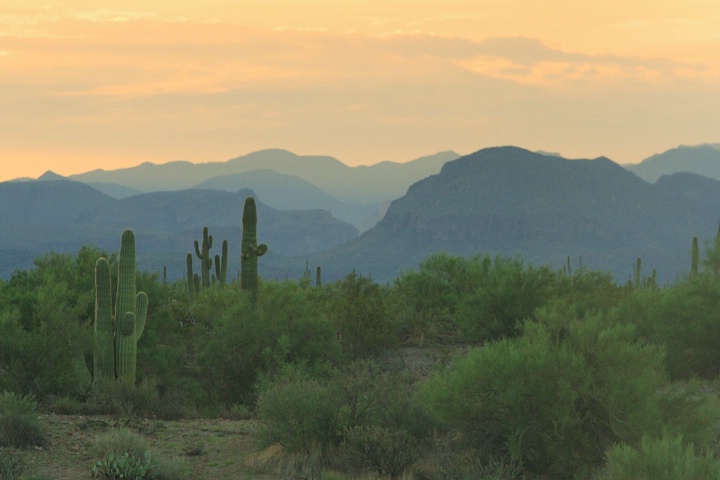 Arizona Morning Vista II