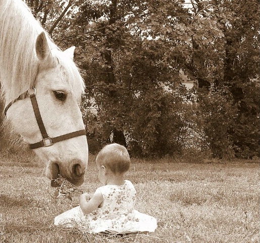 GENTLE GIANT