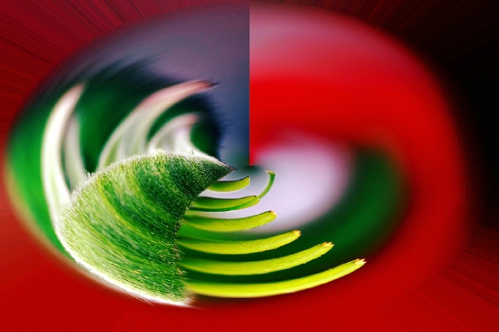 Red and green abstract