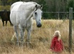 The Love of Horse...