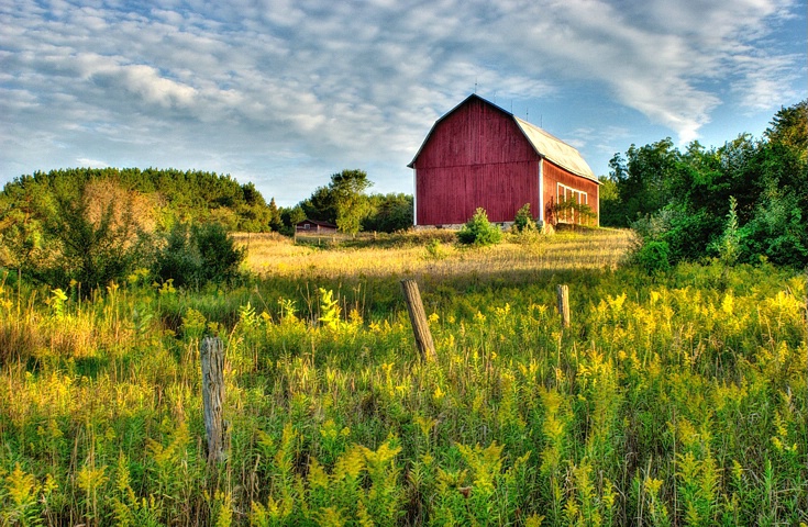 Michigan Farm In Late Evening Light