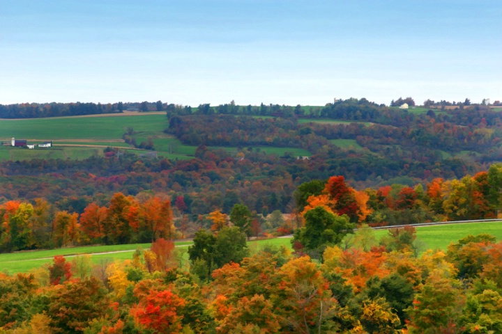 Autumn in the Country