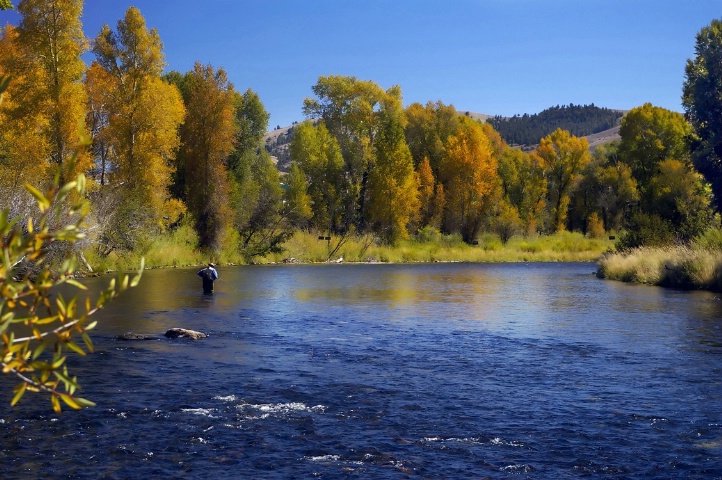 Flyfishing the Colorado River