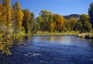 Flyfishing the Co...