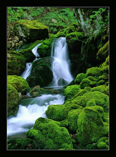 Waterfall in Green