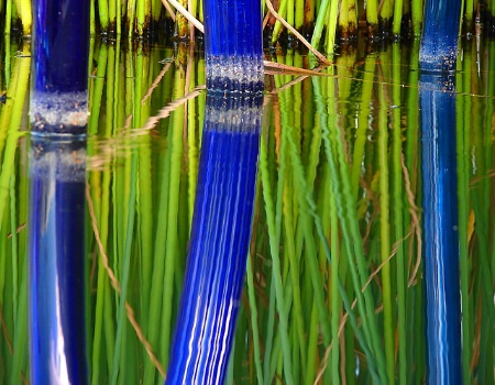 Reeds