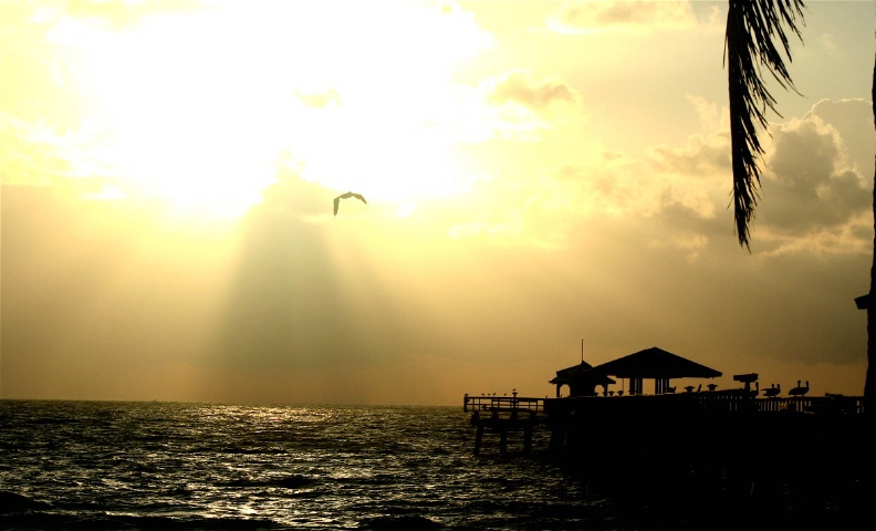 pier by the sea